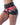 *Fairy Rose* (Dream Light Shorts)